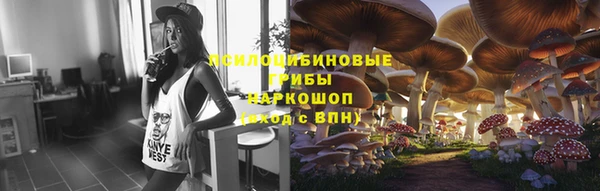 скорость Гусь-Хрустальный