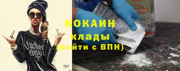 трава Гусиноозёрск