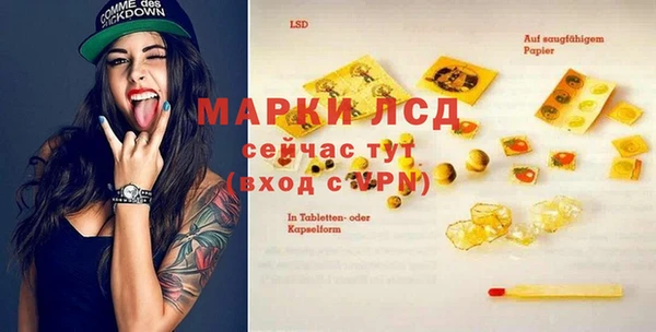 трава Гусиноозёрск