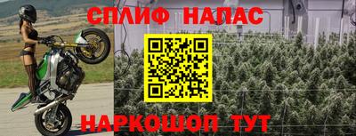 дживик Абакан