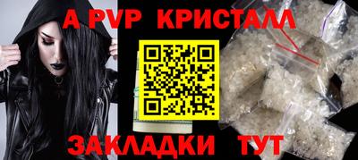 шишки Заволжье
