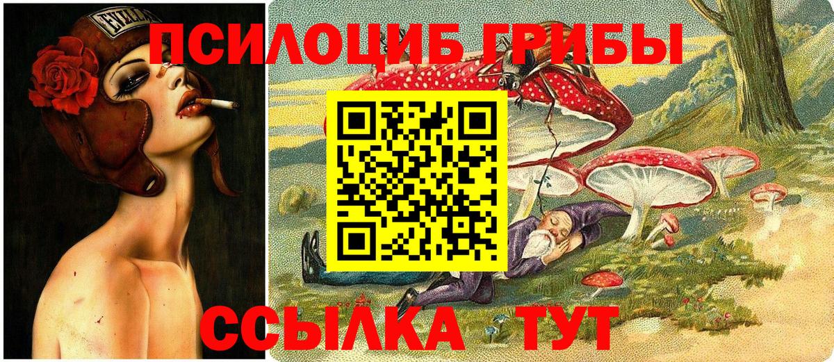 Галлюциногенные грибы Cubensis  Вход с VPN  продажа наркотиков  Железноводск 
