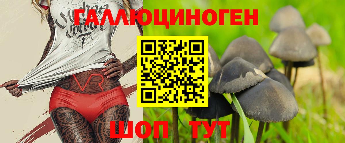Галлюциногенные грибы прущие грибы  Железноводск 